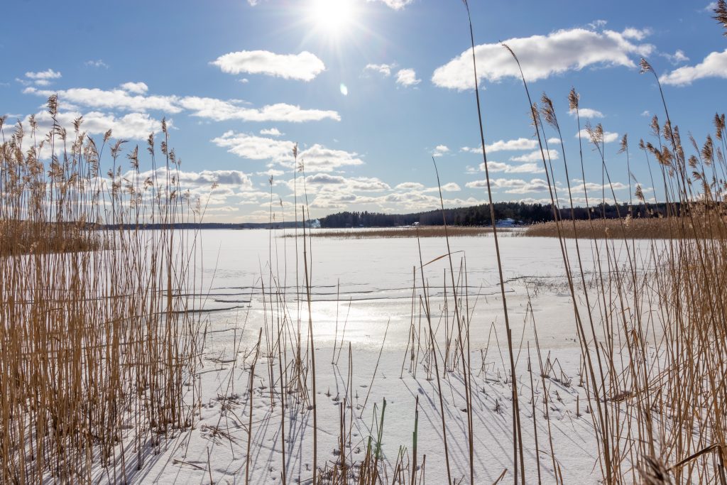 Talvinen maisemakuva